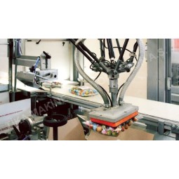 Paketleme Robotları